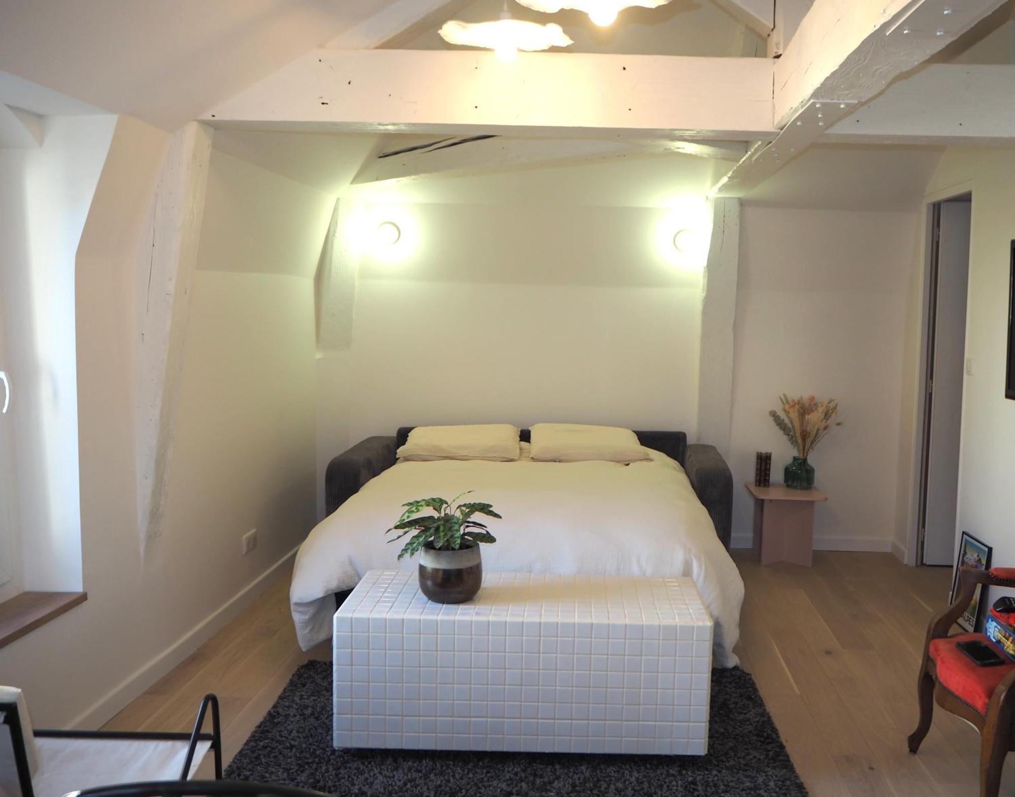 גרנובל Les Baleines - Hypercentre 2 Chambres Avec Garage Et Clim - Air Conditioning מראה חיצוני תמונה